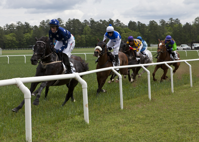 horse race