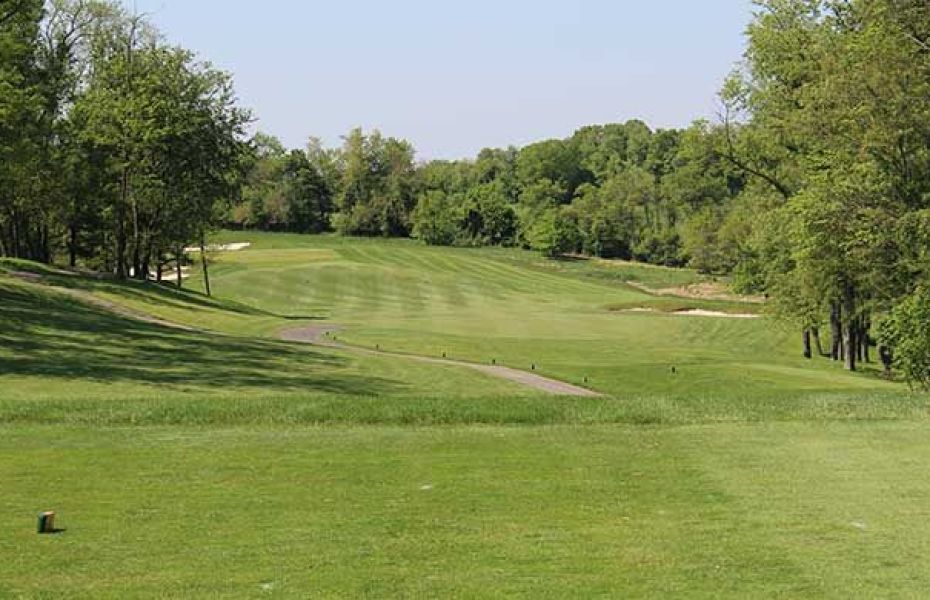 Greystone 4
