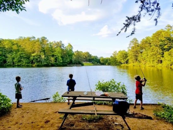 fishing-near-Greenville
