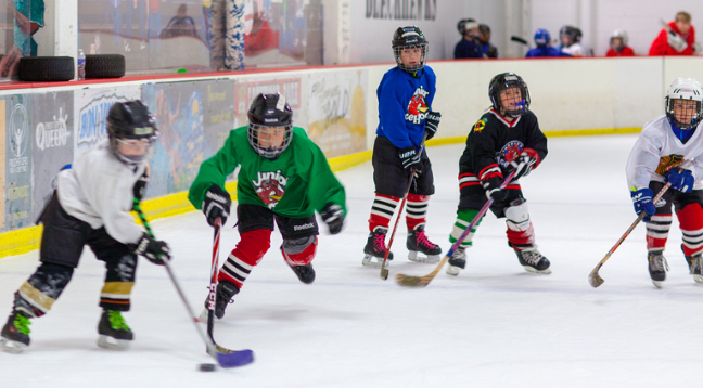 Carlson Ice Arena 1