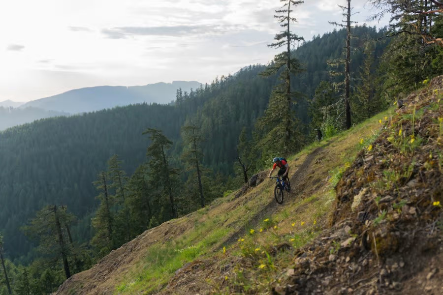 Alpine Trail4