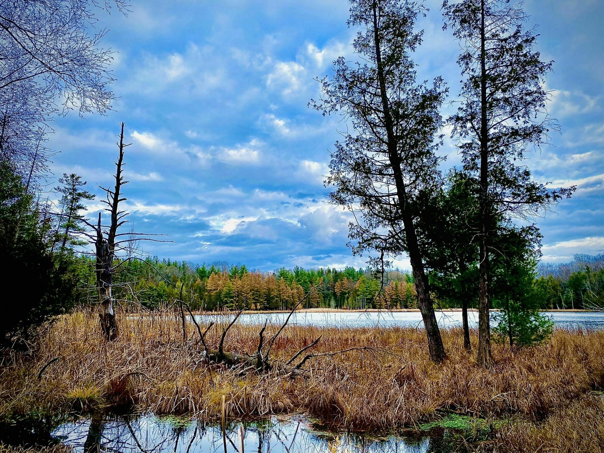 Lower Woodcock Lake Nature Preserve3