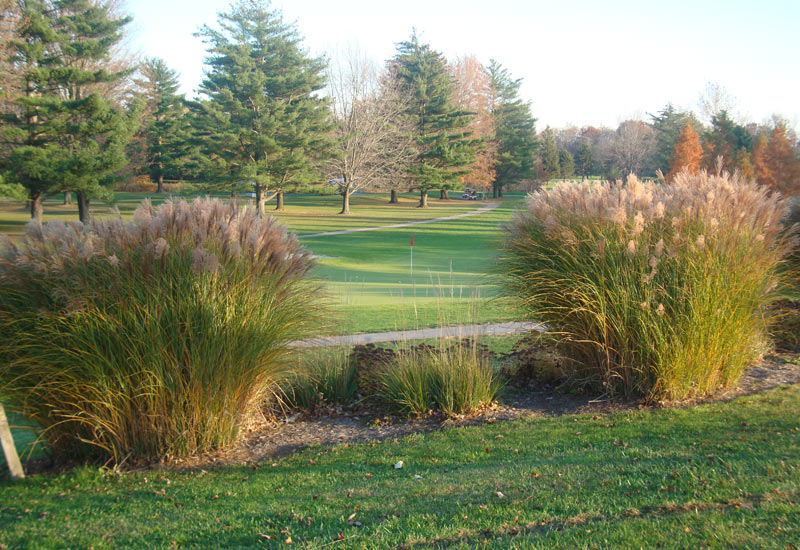 Forest Hills Golf Course 3