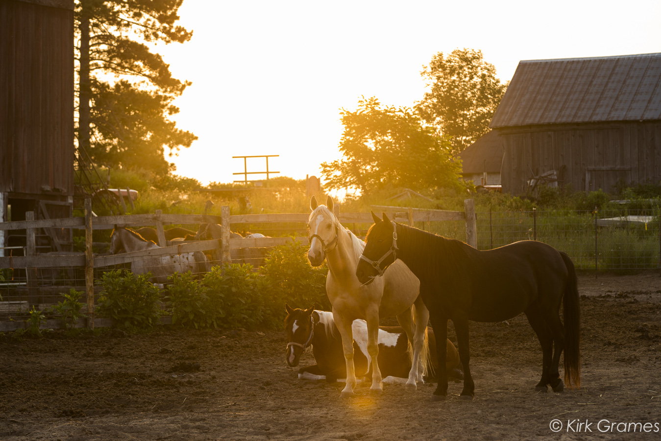 Outrider Horseback Riding4