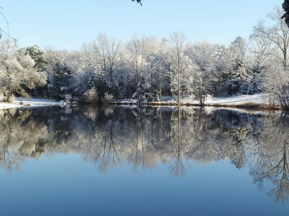Oak Grove Plantation7