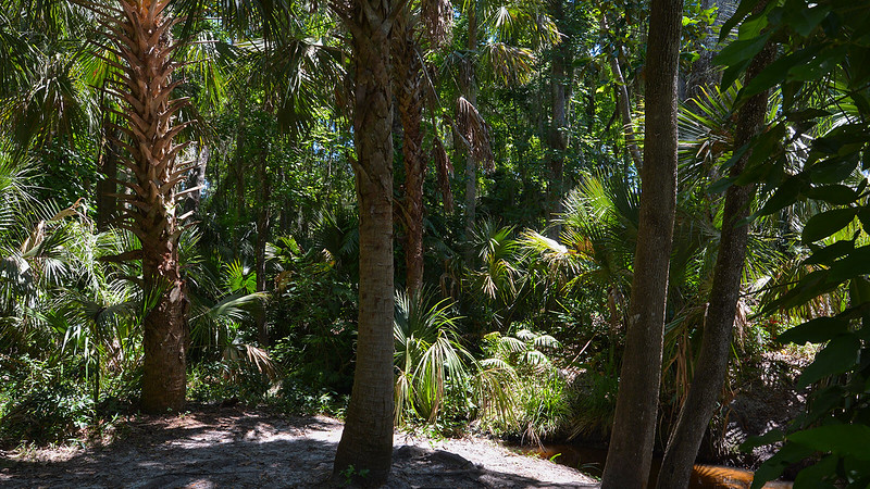 Green Springs Park2
