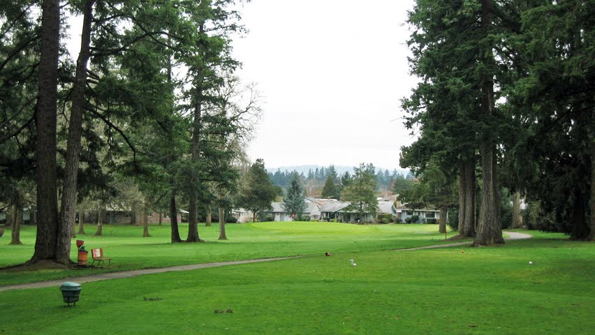 King City Golf Course4