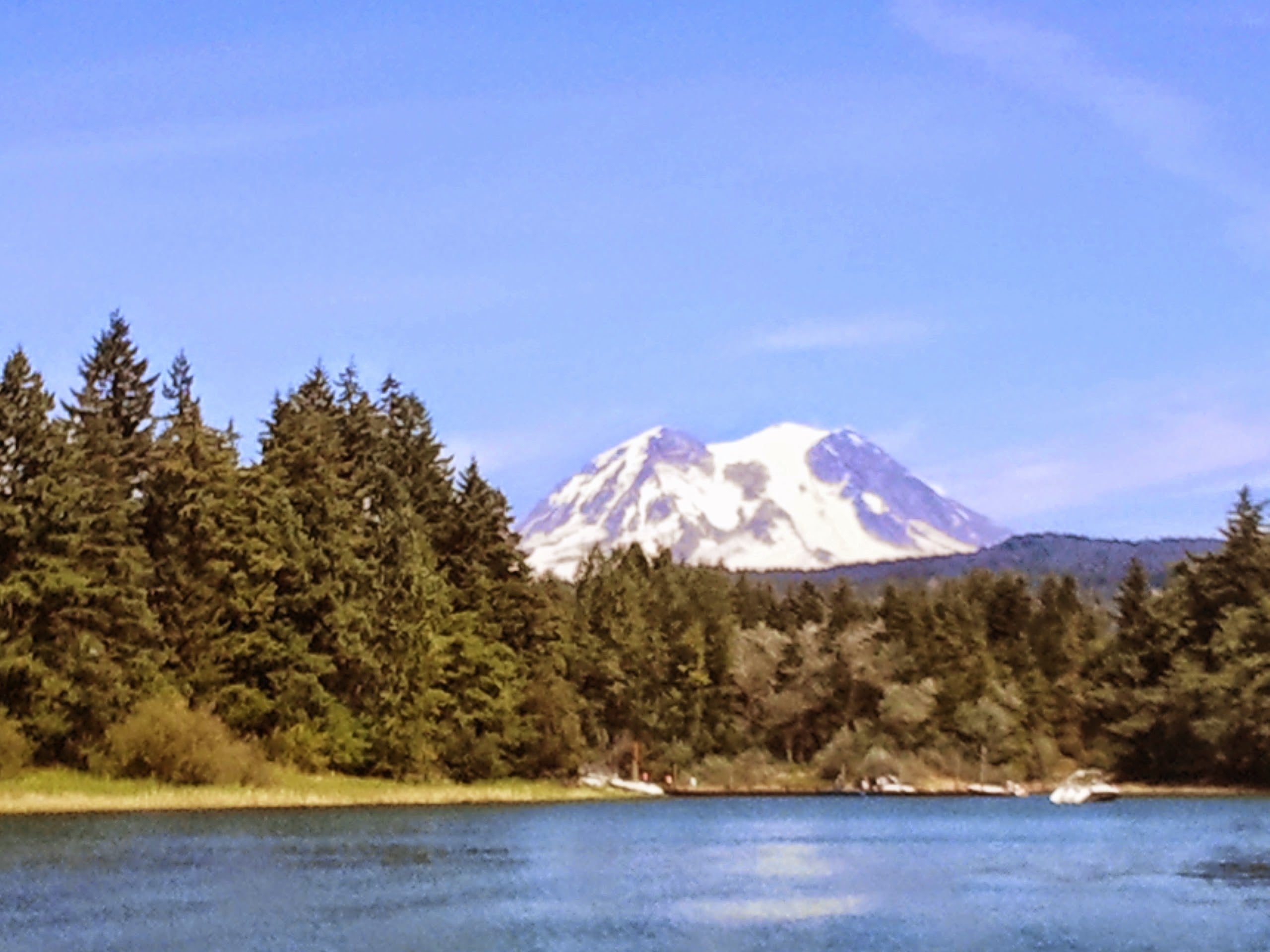 Alder Lake Park3