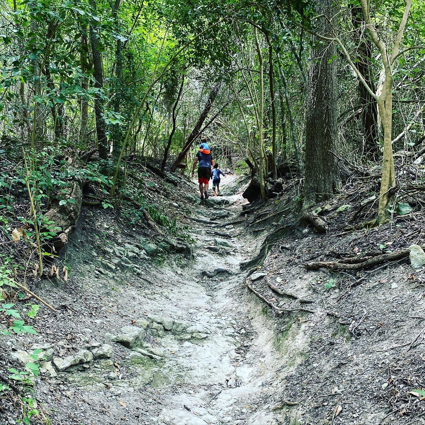 Cameron Park8