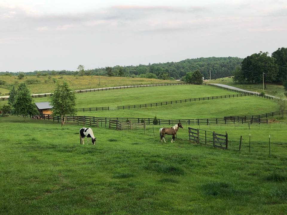 Chattooga Trails Bed & Barn6