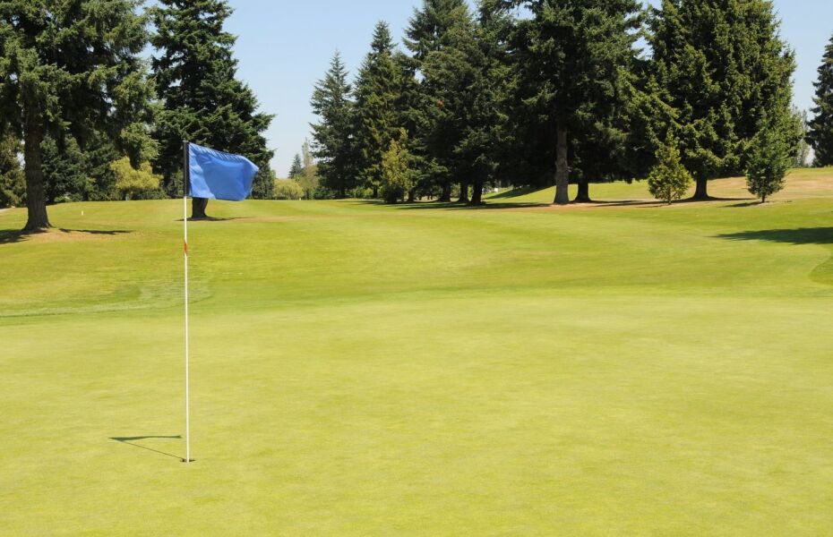 Allenmore Golf Course 4