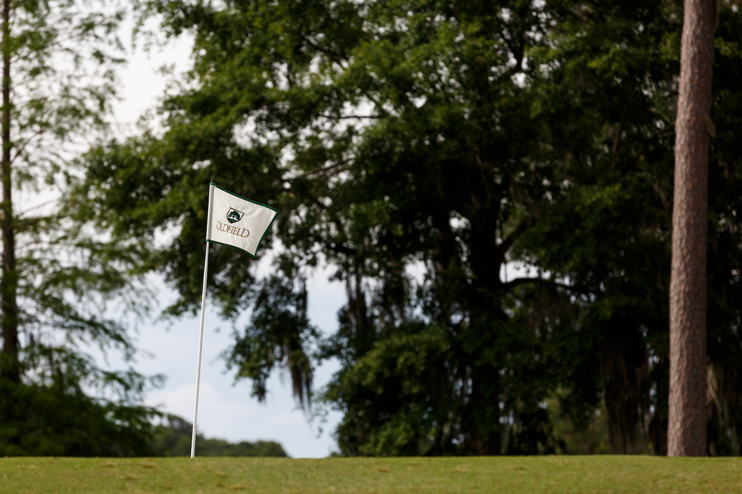 Oldfield Golf Club4