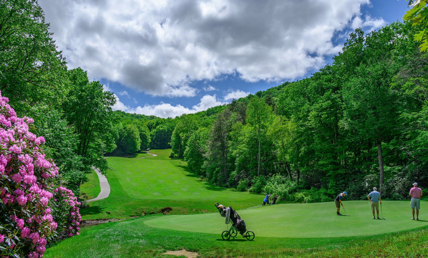 Sugar Mountain 6