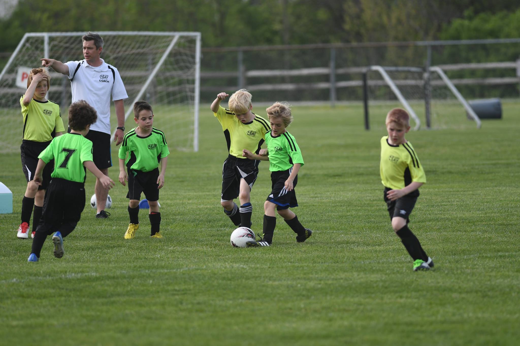 Finley game