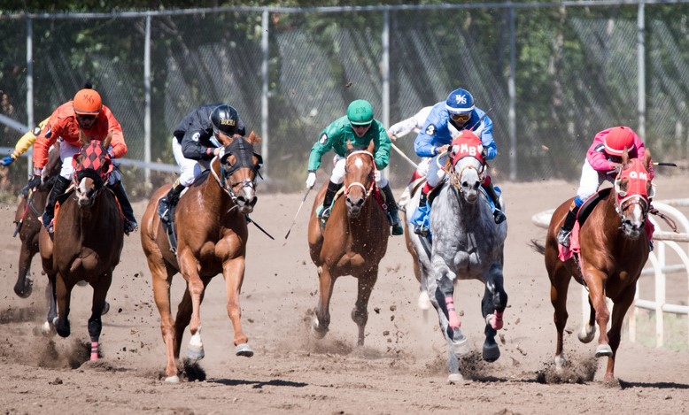 Evergreen Equestrian Park8
