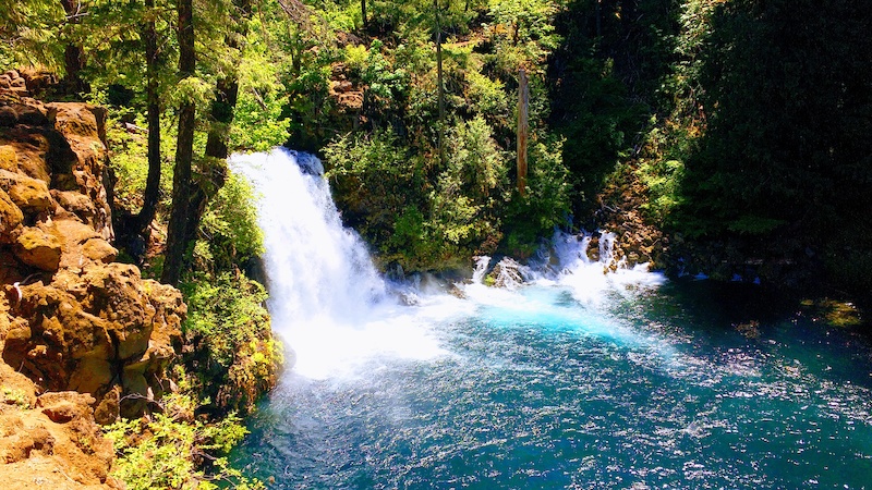 McKenzie River National Recreation Trail 6
