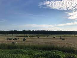 West Meadow Farm 3