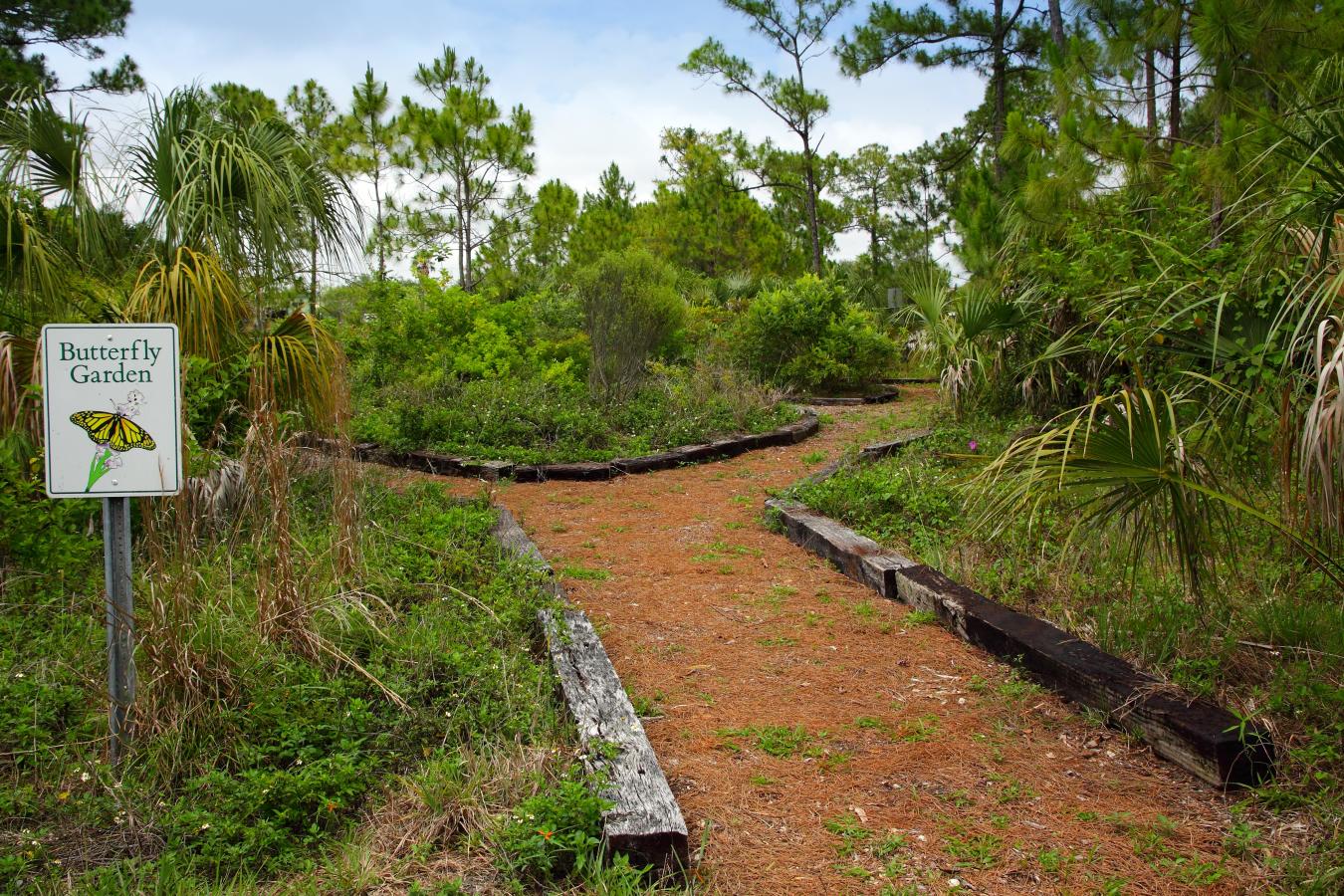 A.D. Barnes Park 2