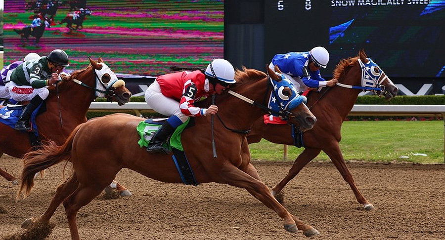 ajax downs horse racing track durham.jpg