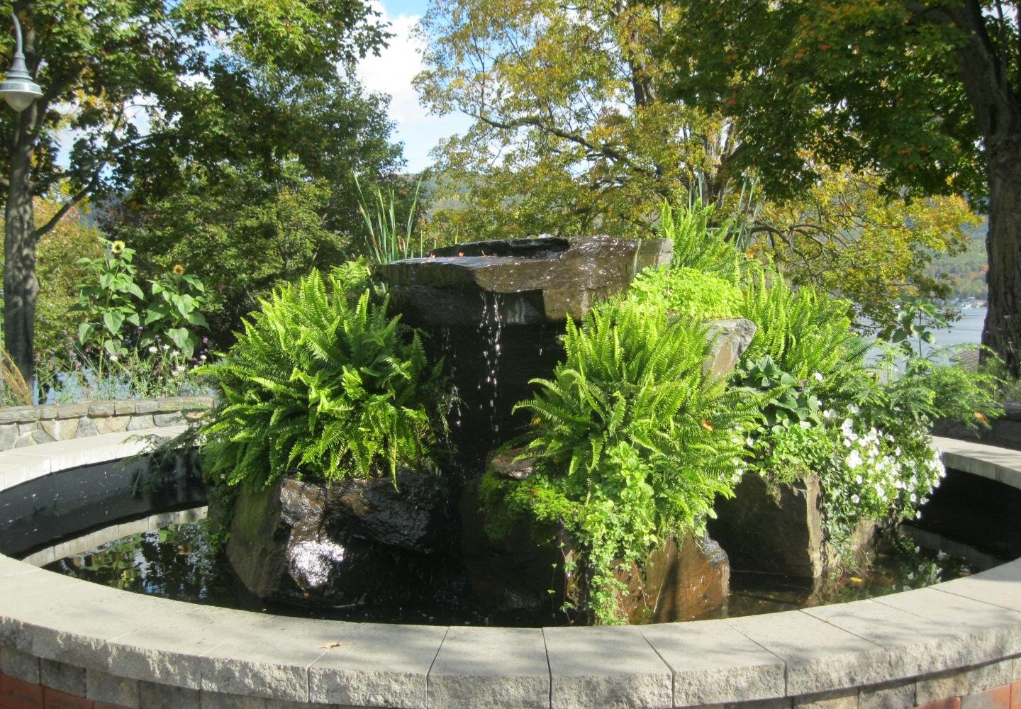 Shepard Park6