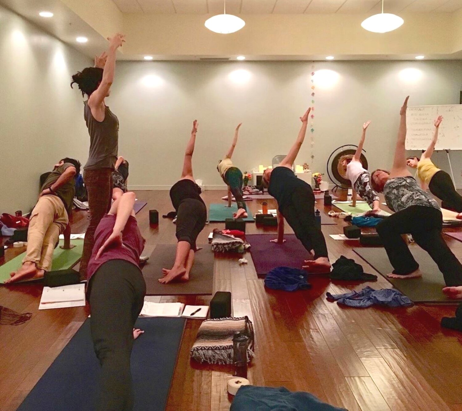 Down Dog Yoga Center 3