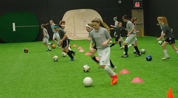 bud dome 6