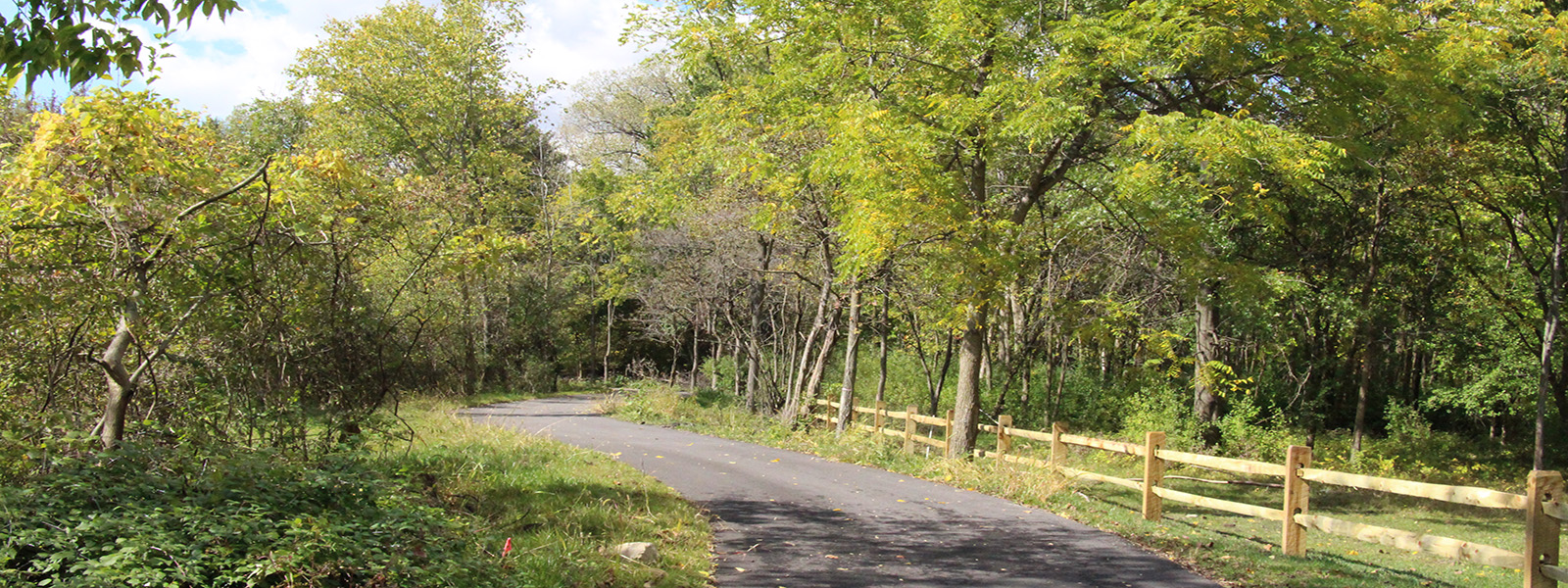 Slippery Elm Trail 2
