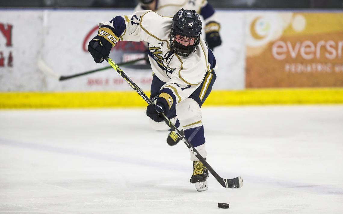 Hermantown Arena 5