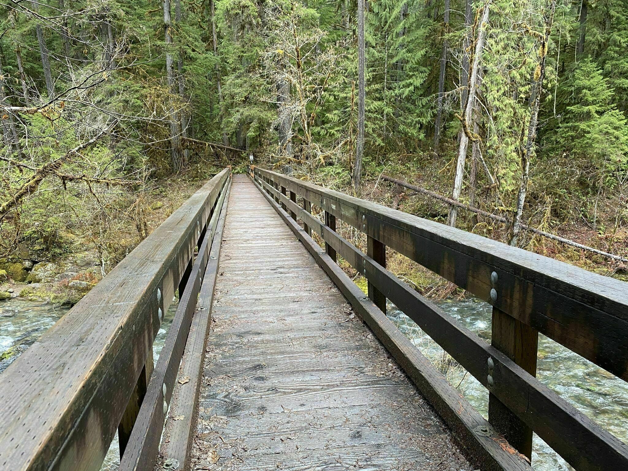 Umpqua National Forest