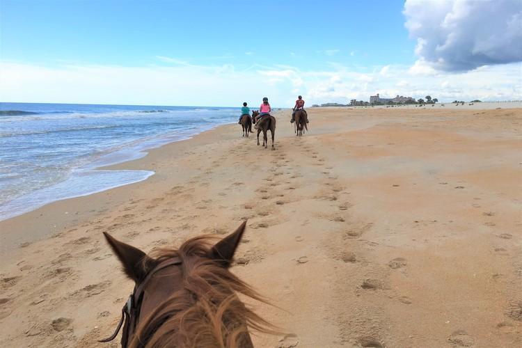 Equestrian Adventures of Florida