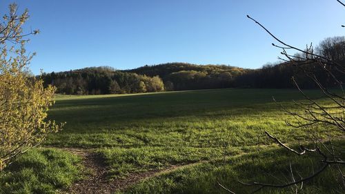 Hickory Meadows6