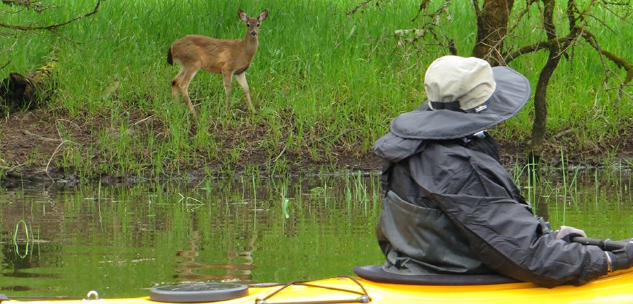 Scappoose Bay Paddling Center3