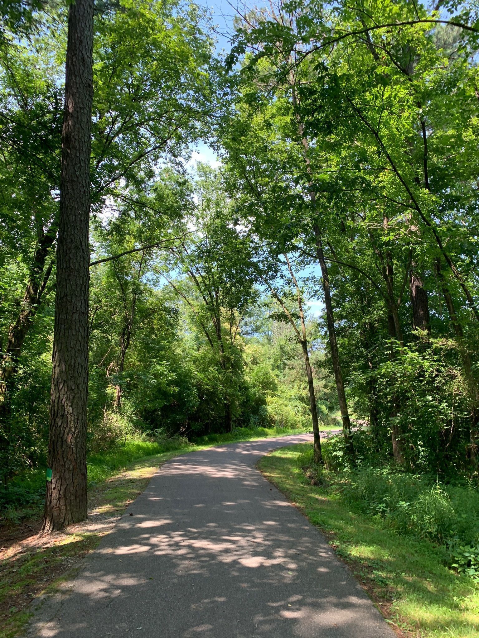 Rocky Branch Park 2