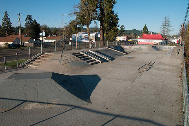 Joel Tanzi Skate Park6