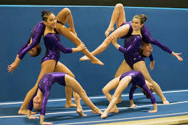 Skyview Gymnastics 4