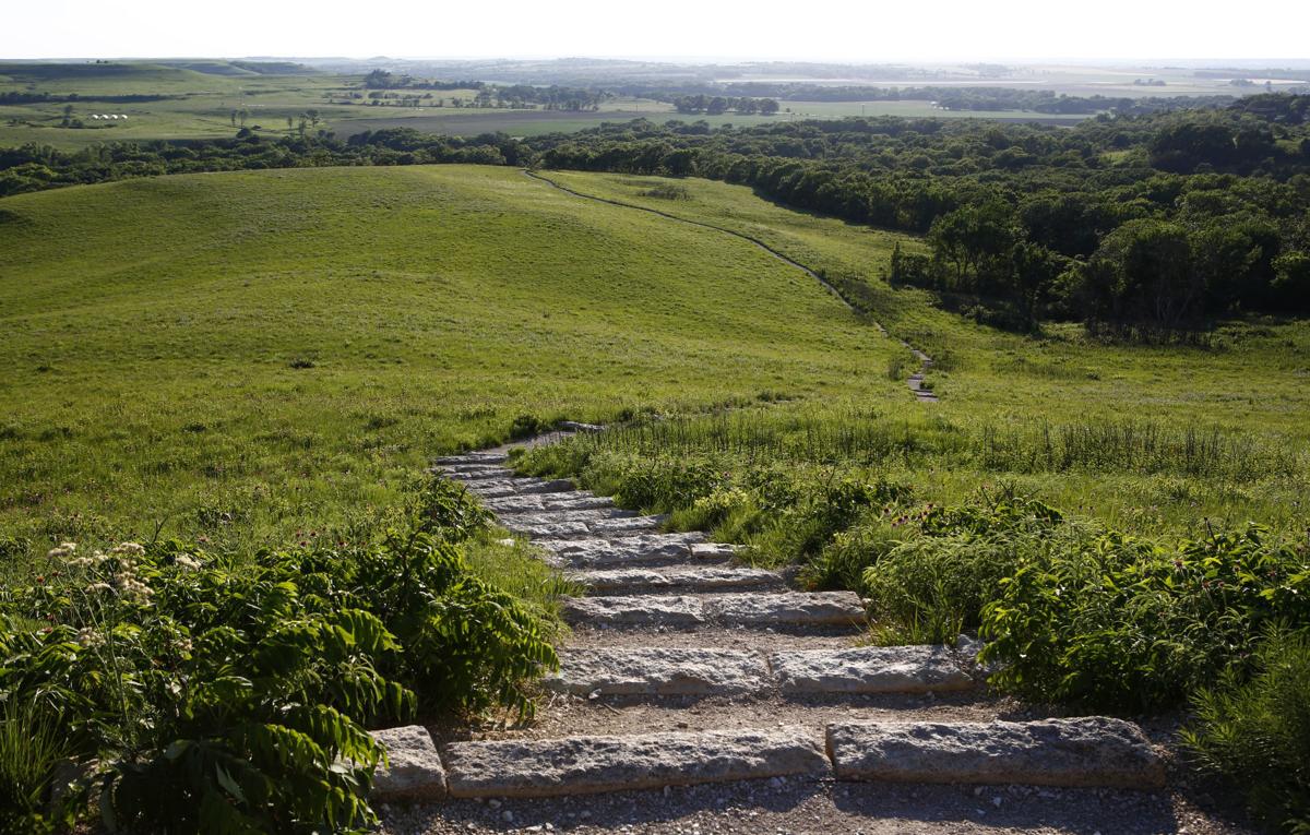 Konza Prairie Trails 6