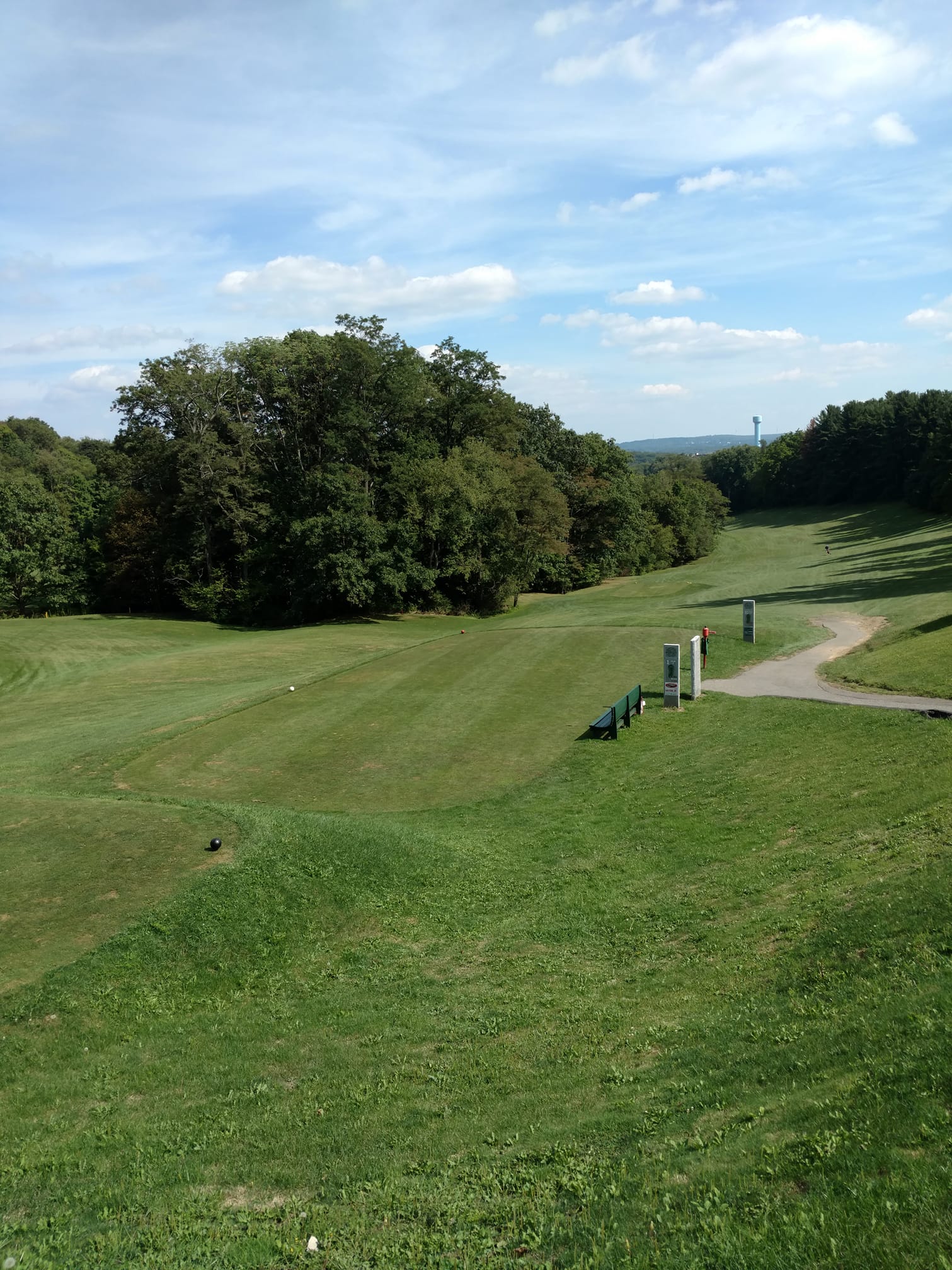 Immergrun Golf Course 4