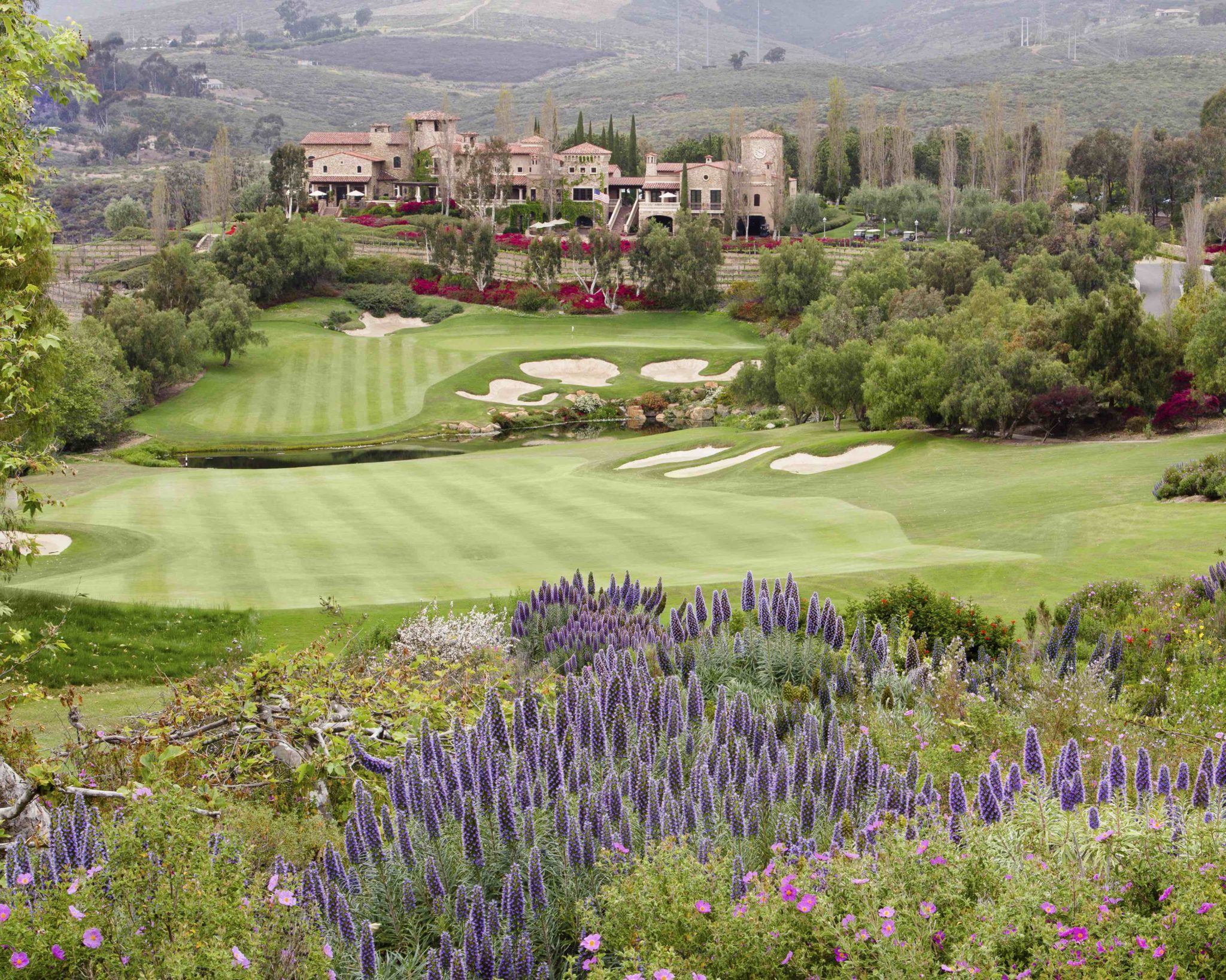 The Bridges at Rancho Santa Fe 2