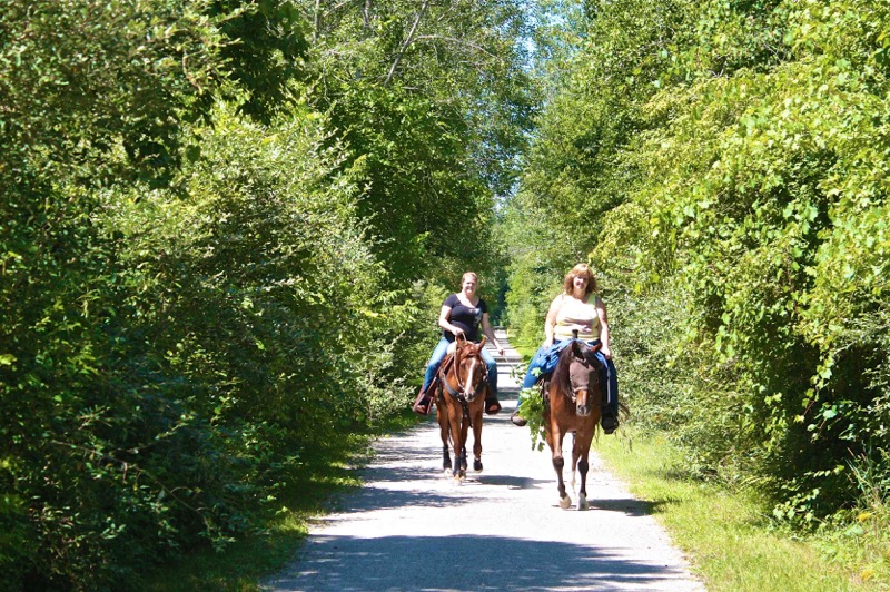 Wadhams to Avoca-6