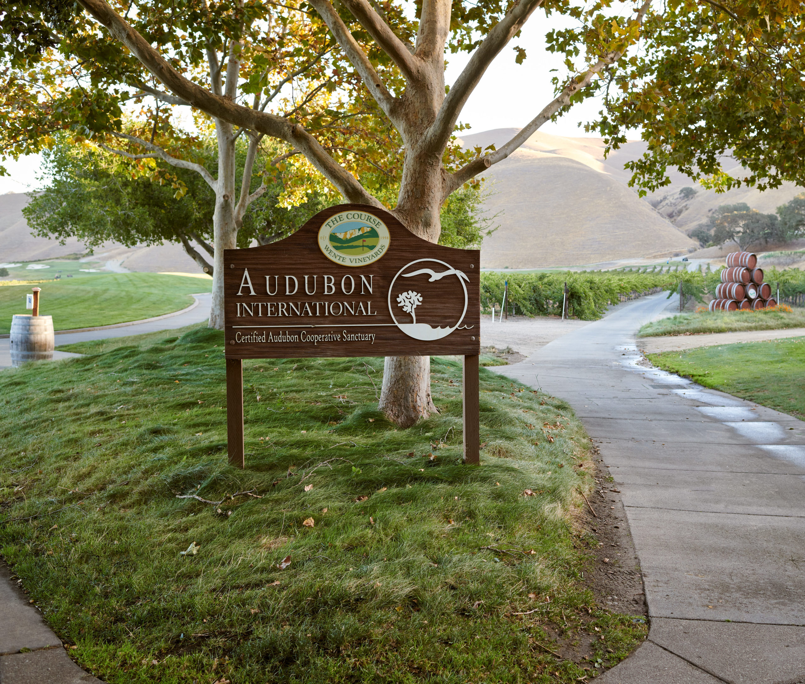 The Course at Wente Vineyards2