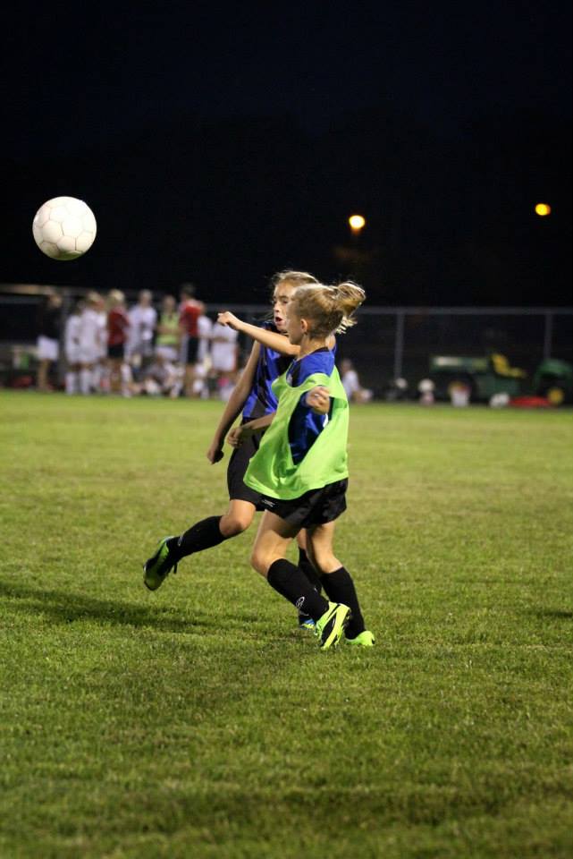 TIPCO Fields