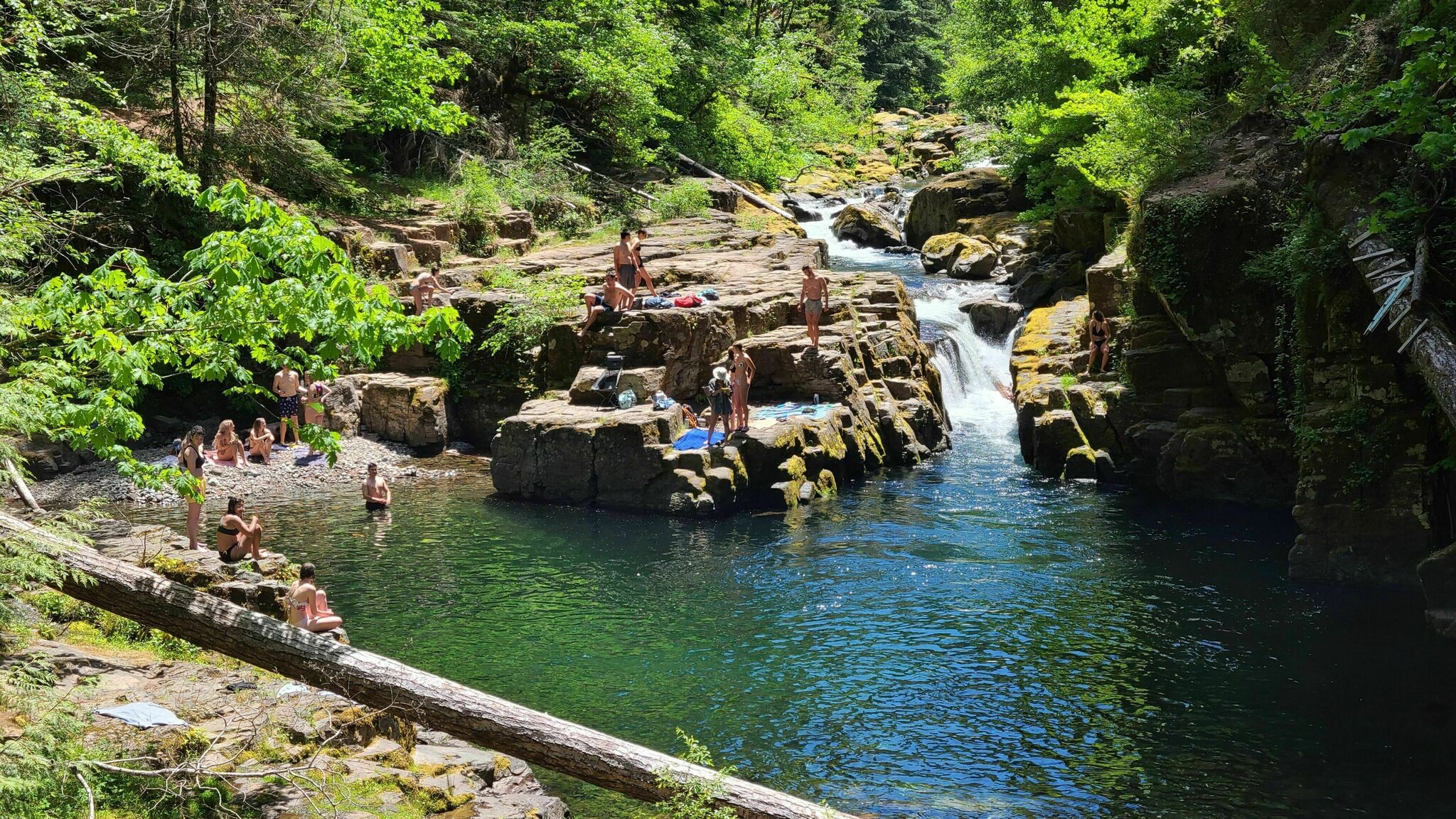Umpqua National Forest9