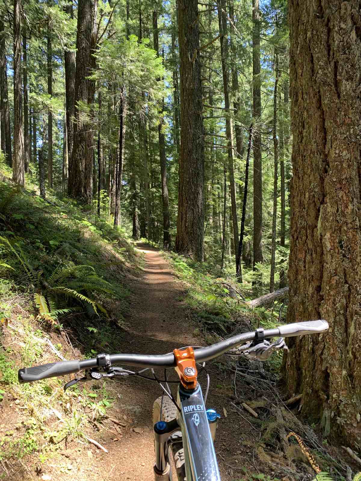 King-Castle Trail 3