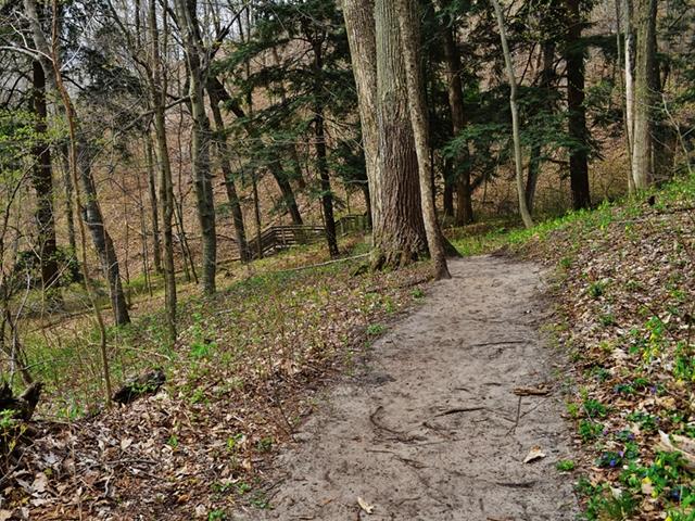 keppel forest 2