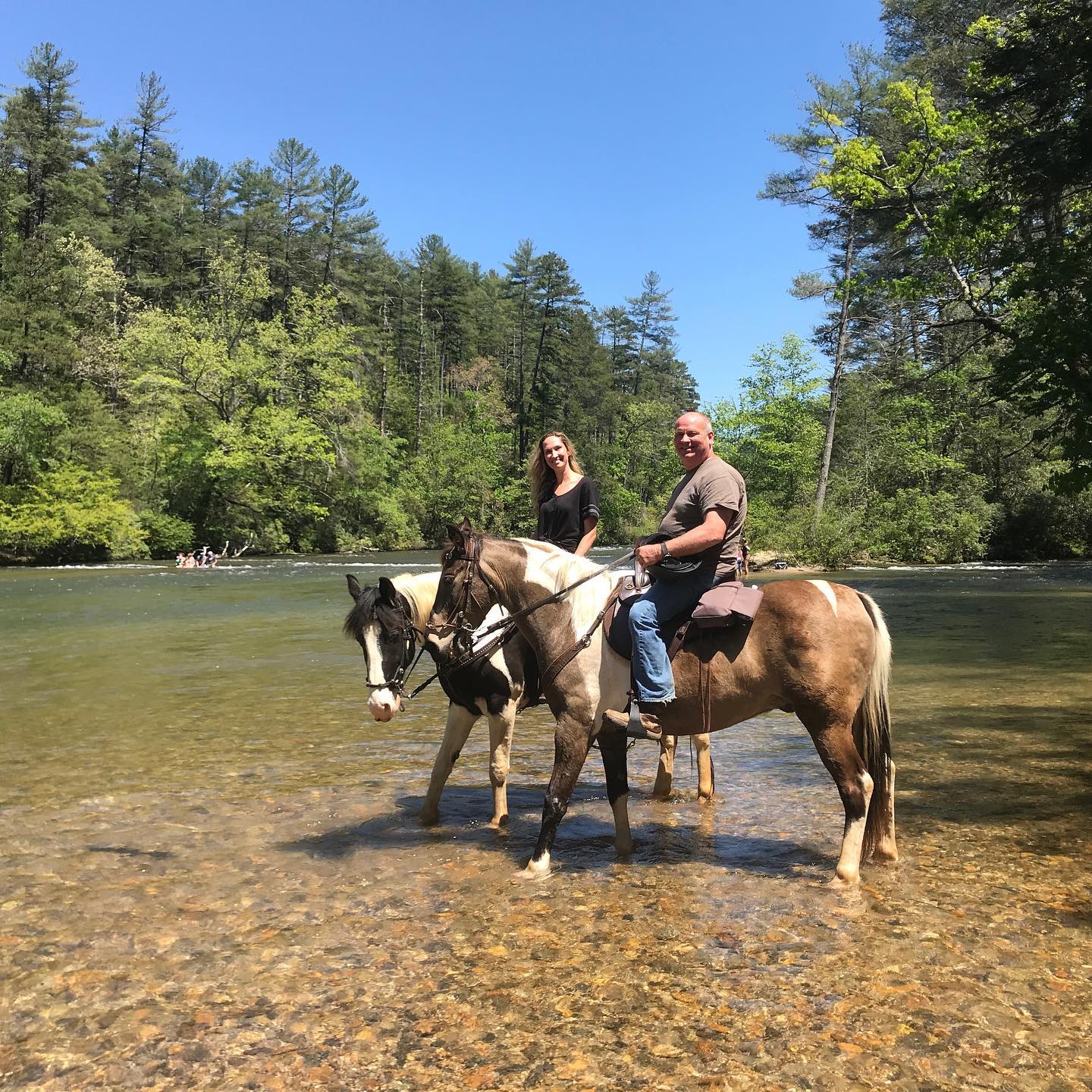 Chattooga Trails Bed & Barn3