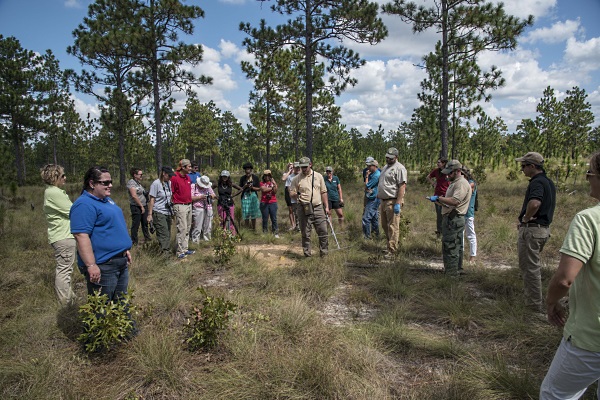 Aiken Gopher Tortoise Hertiage Preserve-Wildlife Management Area