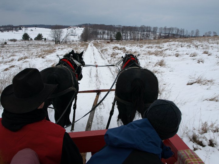Horse Drawn Sleigh Rides and Hay Rides5