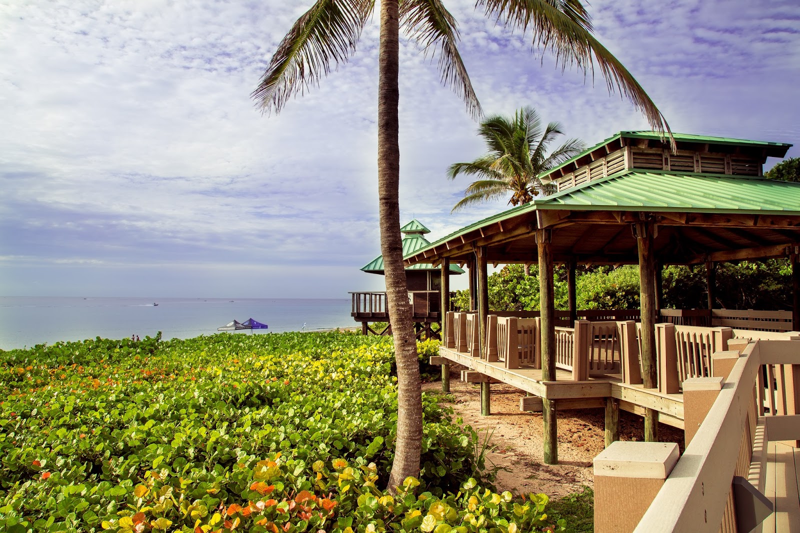 Red-Reef-Park-Executive-Golf-Course-6.jpg