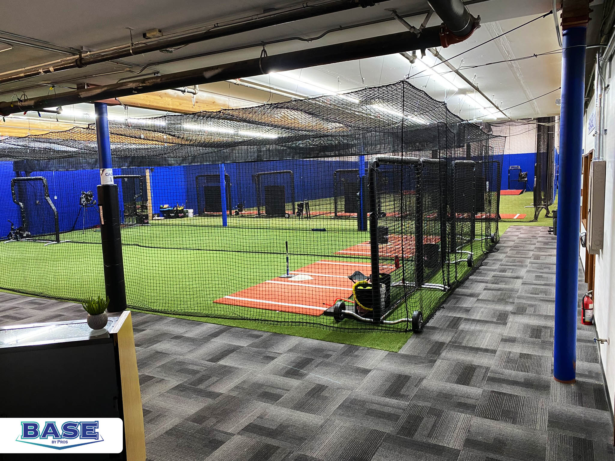bbplynnwood-cages-1-2.jpg