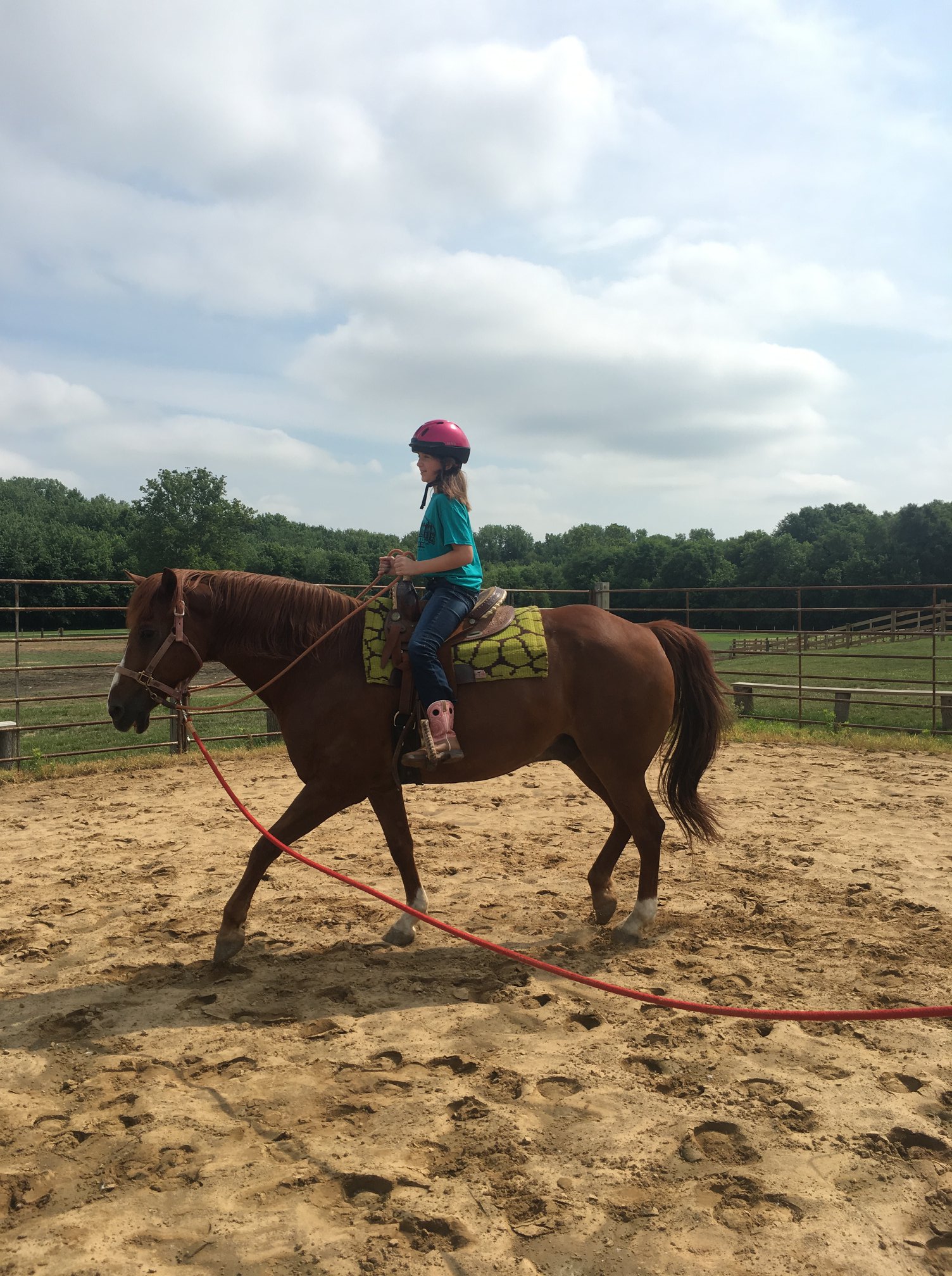 Riverside Stables2